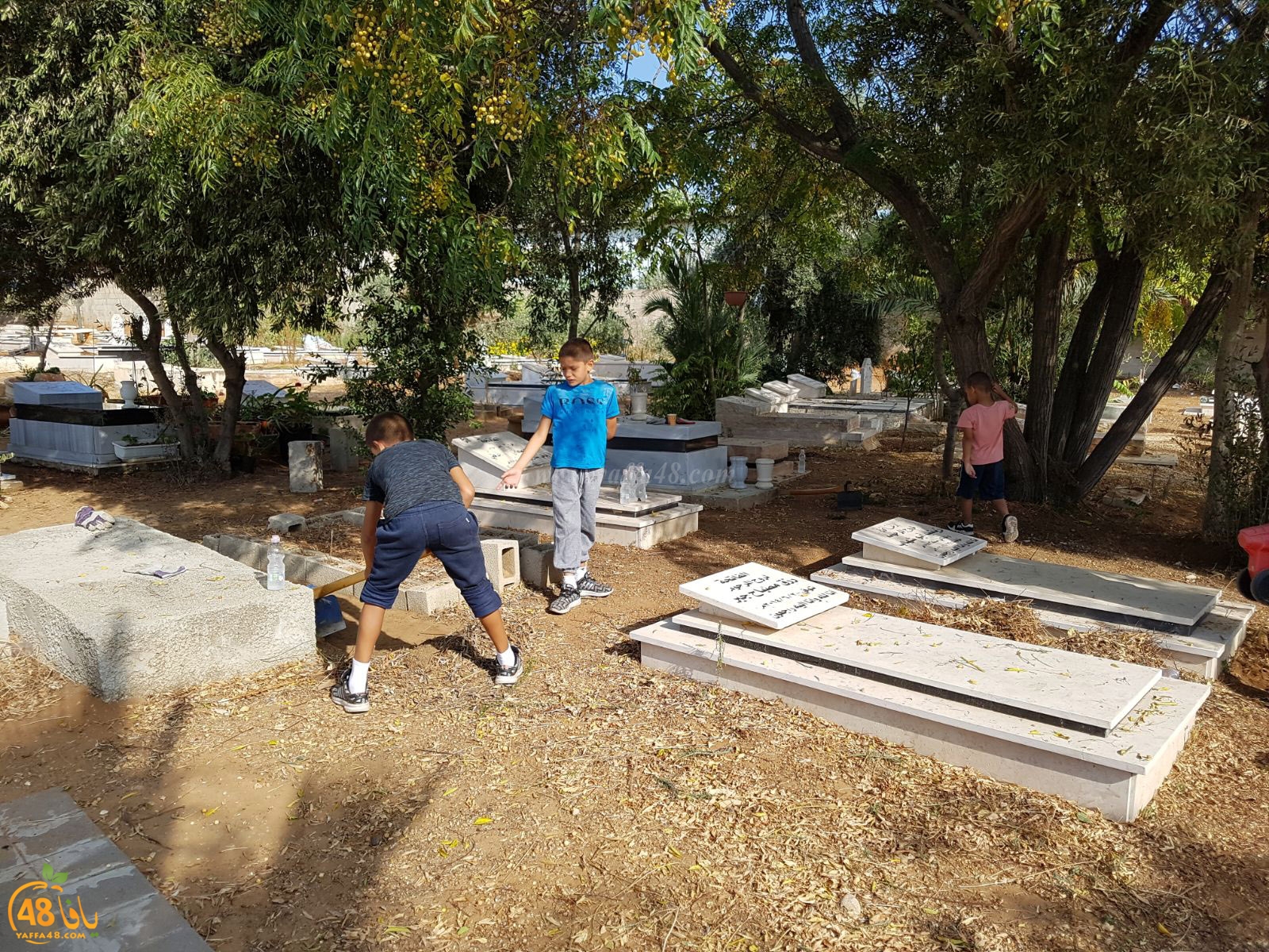 tasoo tandefet (17).jpg